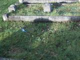 image of grave number 266064